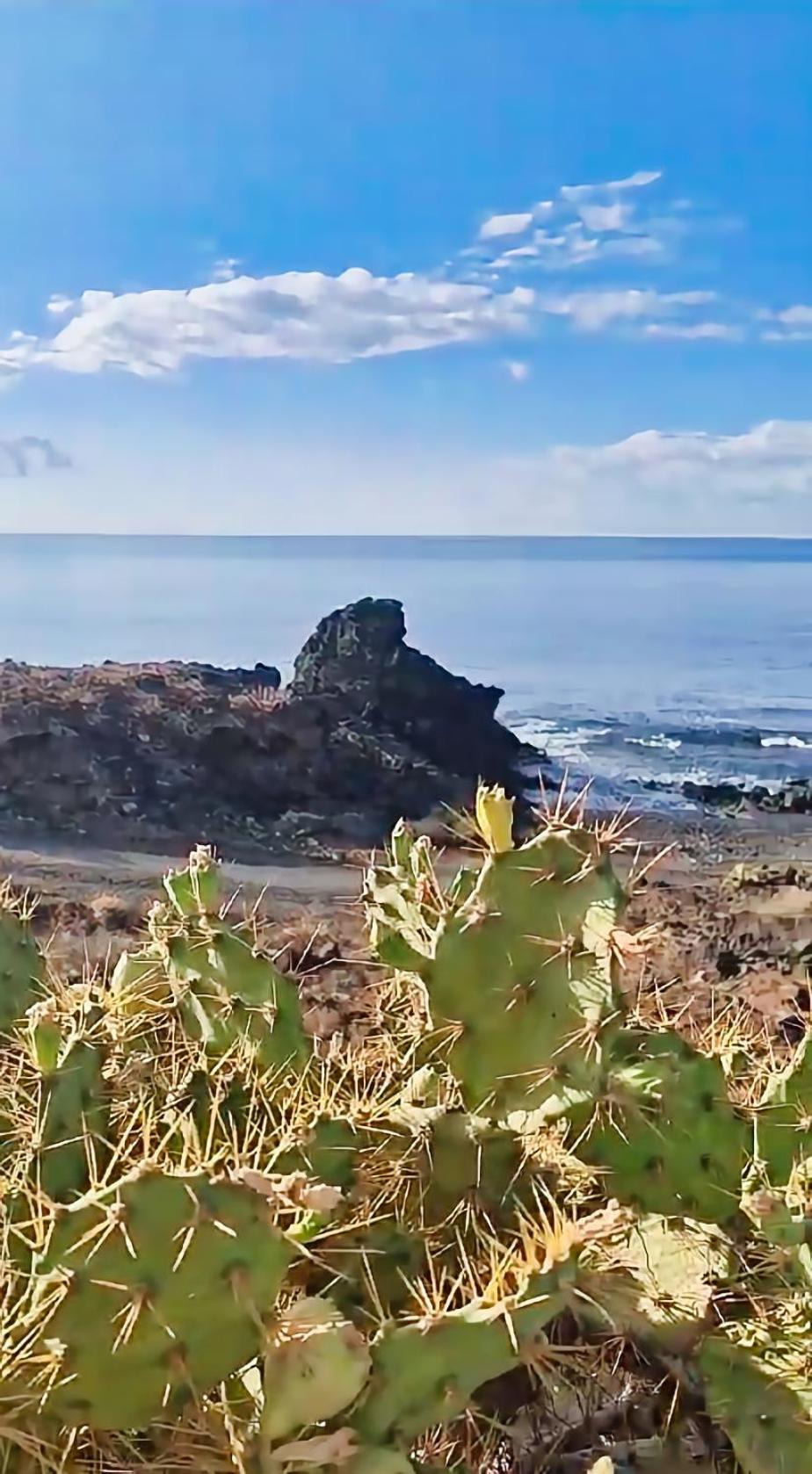 Casa Palmu Apartment - A Peaceful And Relaxing Oasis In Golf Del Sur, Tenerife ซานมิเกลเดียโบนา ภายนอก รูปภาพ
