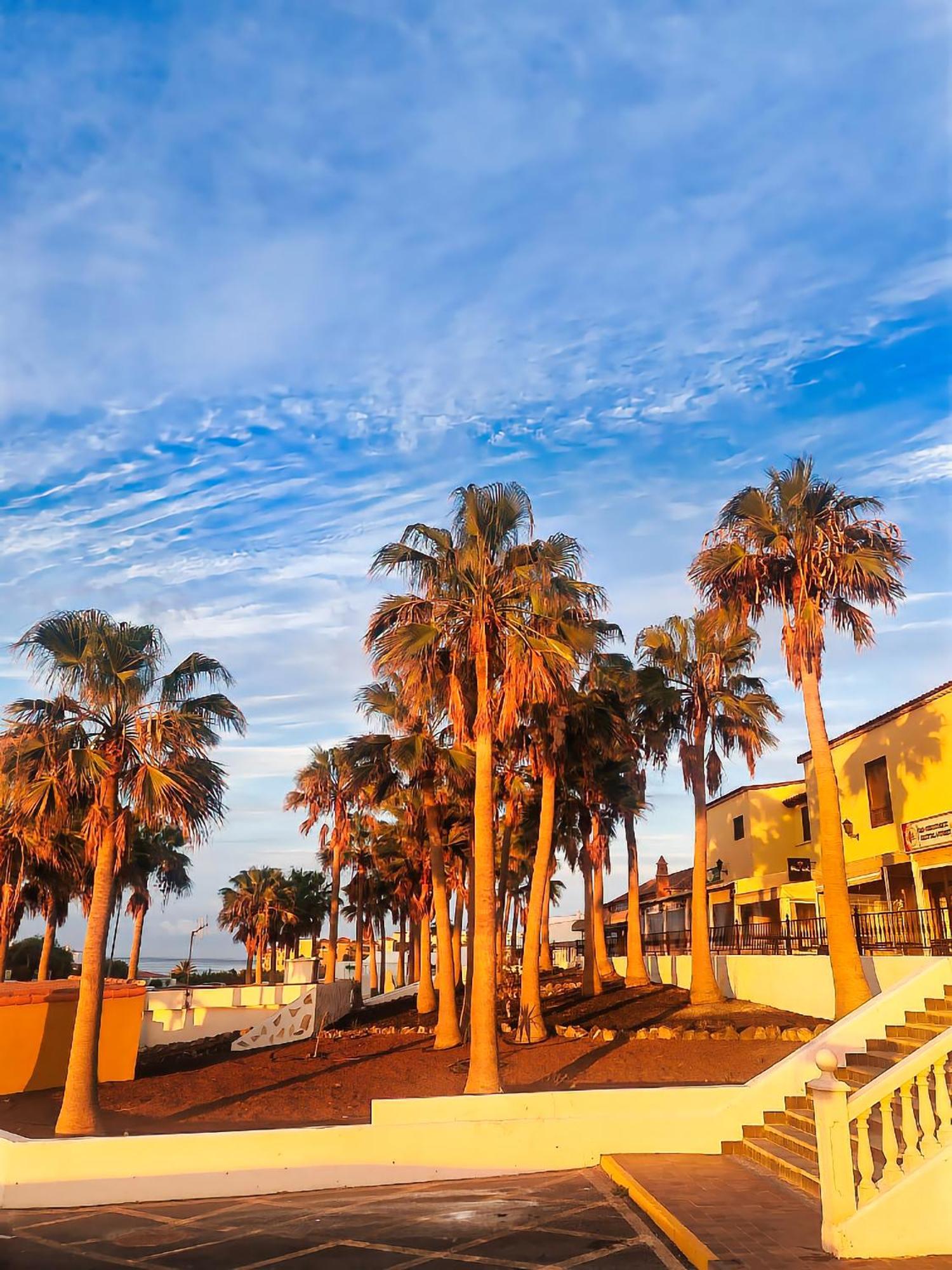 Casa Palmu Apartment - A Peaceful And Relaxing Oasis In Golf Del Sur, Tenerife ซานมิเกลเดียโบนา ภายนอก รูปภาพ